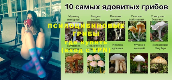 ешки Балахна